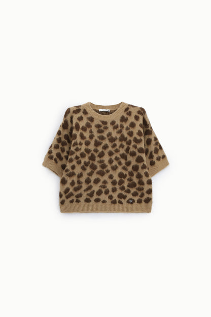 PULL TORTLE LEO