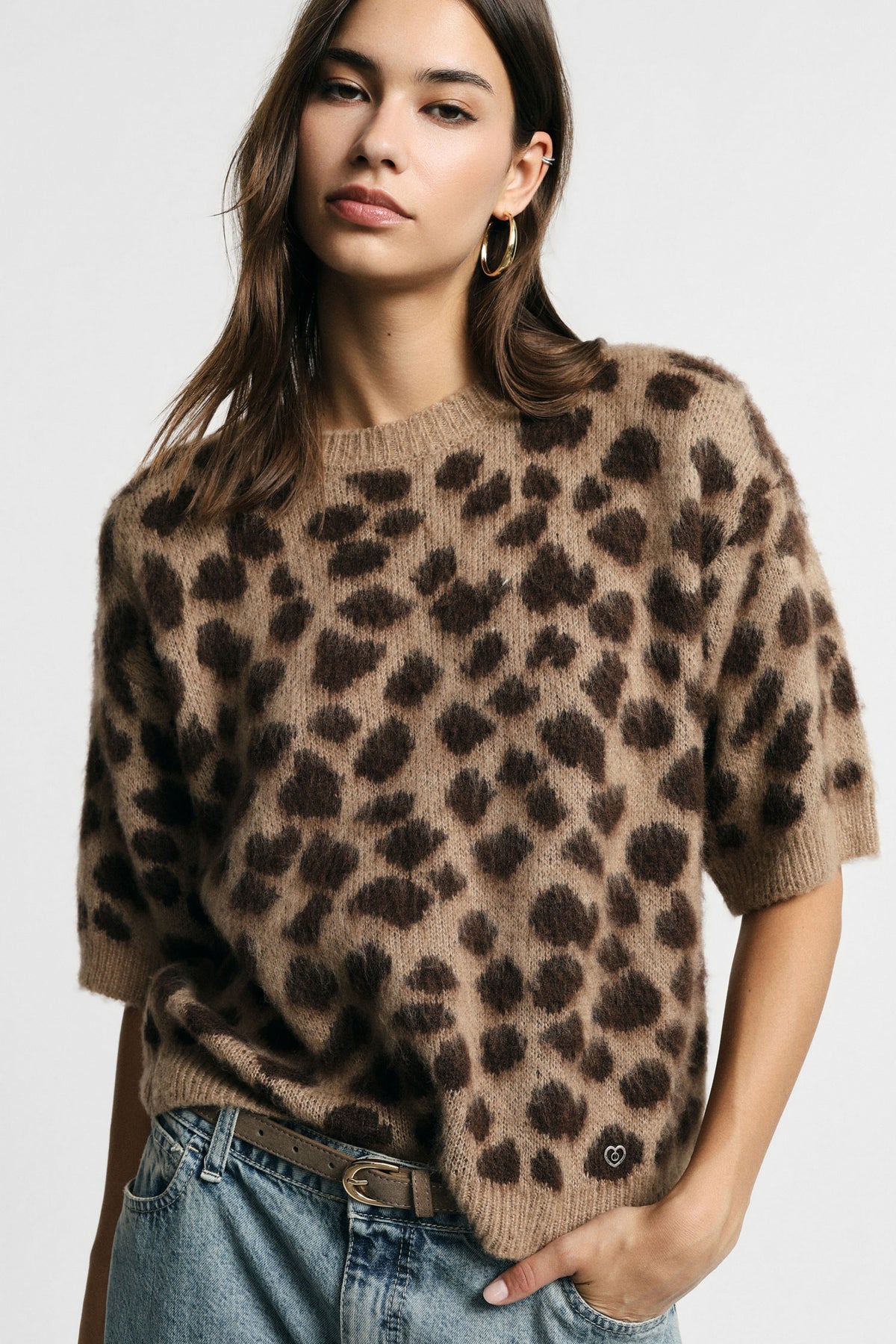 PULL TORTLE LEO
