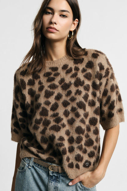 PULL TORTLE LEO