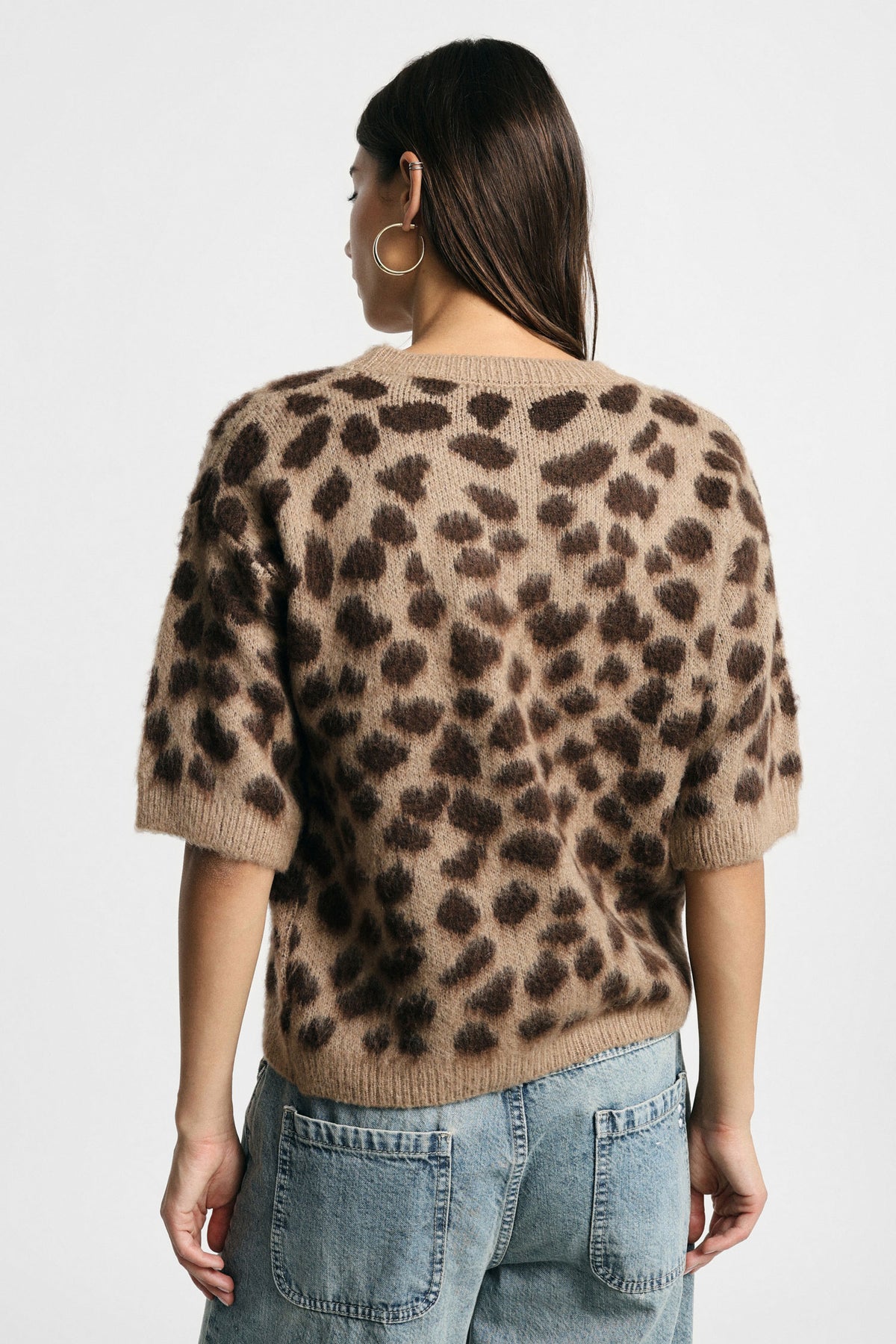 PULL TORTLE LEO