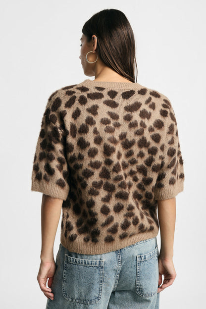 PULL TORTLE LEO